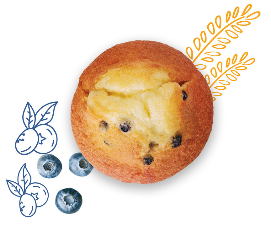 Blueberry muffin with blueberries
