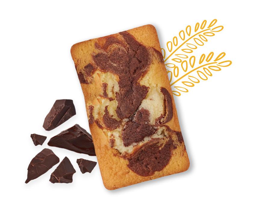 Marble Pound Cake with chocolate pieces